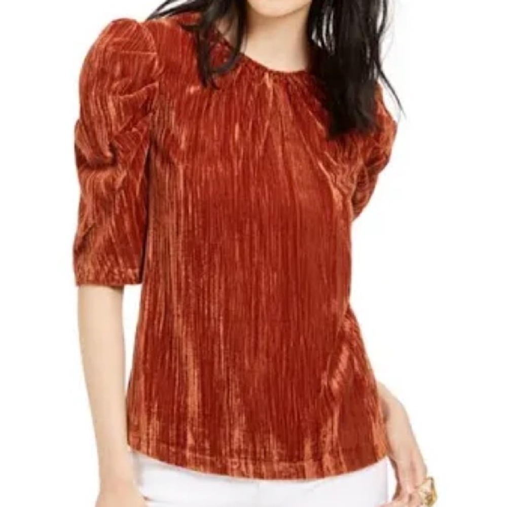 Leyden women’s burnt orange crushed velvet puff sleeve top xlarge